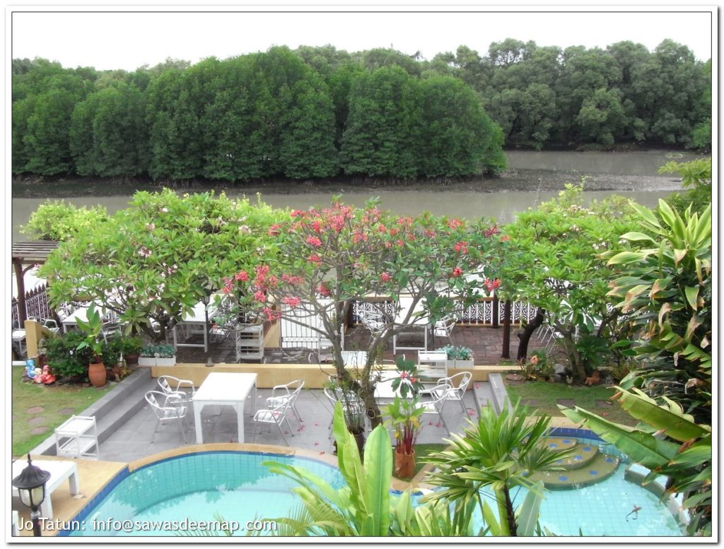 Terrace overlooking the pool and the river with mangroves